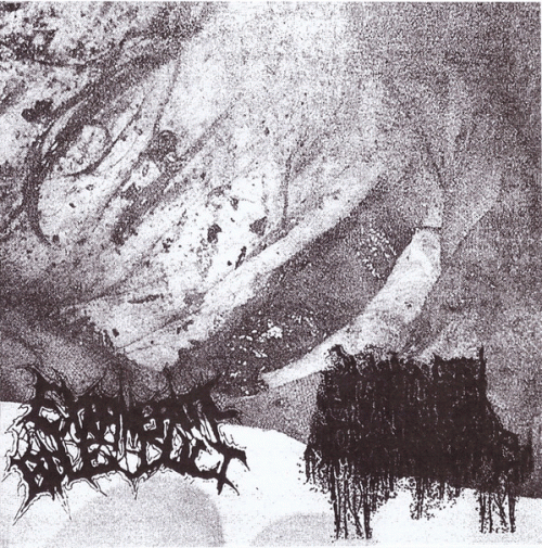 Human Pancake : Extrahepatic Bile Duct - Human Pancake